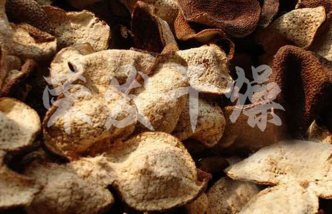 橘子皮專用槳葉干燥機